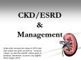CKD/ESRD & Management PowerPoint PPT Presentation