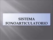 SISTEMA FONOARTICULATORIO