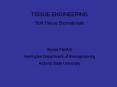 TISSUE ENGINEERING PowerPoint PPT Presentation