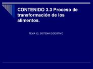 CONTENIDO 3.3 Proceso de transformaci