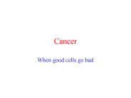 Cancer