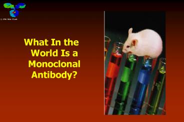 What In the World Is a Monoclonal Antibody?