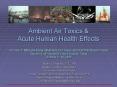 Ambient Air Toxics & Acute Human Health Effects PowerPoint PPT Presentation