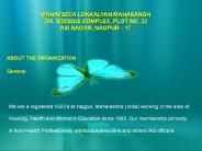 ABOUT THE ORGANIZATION