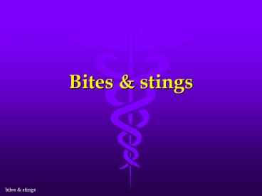 Bites & stings