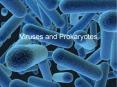 Viruses and Prokaryotes PowerPoint PPT Presentation