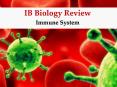 IB Biology Review Immune System Immune System Vocab Pathogen PowerPoint PPT Presentation