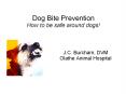 Dog Bite Prevention How to be safe around dogs! PowerPoint PPT Presentation