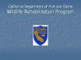 California Department of Fish and Game Wildlife Rehabilitation Program PowerPoint PPT Presentation