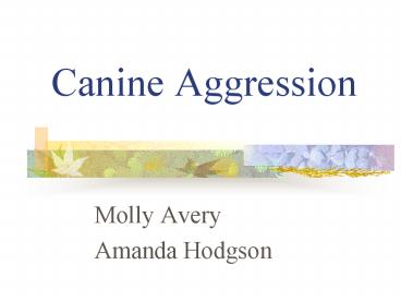 Canine Aggression