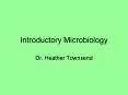 Introductory Microbiology Dr. Heather Townsend Early Medical PowerPoint PPT Presentation
