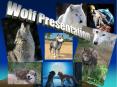 Wolf Presentation PowerPoint PPT Presentation