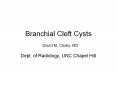 Branchial Cleft Cysts PowerPoint PPT Presentation