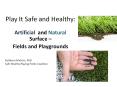 Play It Safe and Healthy PowerPoint PPT Presentation