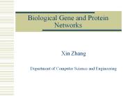 Biological Gene and Protein Networks