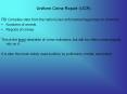 Uniform Crime Report (UCR) PowerPoint PPT Presentation