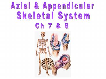 PPT – Ch 7 & 8 PowerPoint presentation | free to view - id: 3b964a-OGFiN