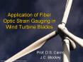 Application of Fiber Optic Strain Gauging in Wind Turbine Blades PowerPoint PPT Presentation
