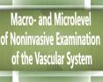 Macro- and Microlevel of Noninvasive Examination of the Vascular System PowerPoint PPT Presentation