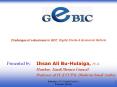 Challenges of e-Business in GCC: Digital Divide & Economic Reform PowerPoint PPT Presentation