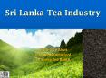 Sri Lanka Tea Industry PowerPoint PPT Presentation