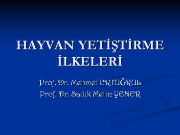 HAYVAN YETISTIRME ILKELERI