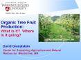 Organic Tree Fruit Production: What is it? Where is it going? PowerPoint PPT Presentation