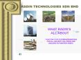 what radin s all about your one stop system integrators for PowerPoint PPT Presentation
