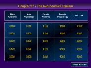 Chapter 27 - The Reproductive System