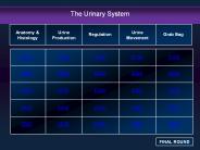 The Urinary System
