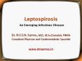 Leptospirosis An Emerging Infectious Disease PowerPoint PPT Presentation