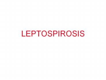 LEPTOSPIROSIS