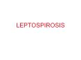 LEPTOSPIROSIS PowerPoint PPT Presentation
