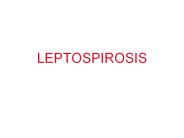 LEPTOSPIROSIS