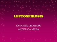 LEPTOSPIROSIS