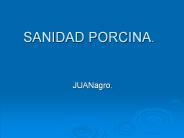 SANIDAD PORCINA.