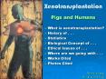 Xenotransplantation PowerPoint PPT Presentation