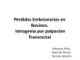 Pйrdidas Embrionarias en Bovinos. Iatrogenia por palpaciуn Transrectal PowerPoint PPT Presentation