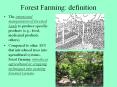 Forest Farming: definition PowerPoint PPT Presentation