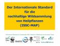 Der Internationale Standard f PowerPoint PPT Presentation