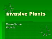 Invasive Plants