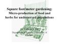 Square foot/meter gardening: Micro-production of food and herbs for underserved populations PowerPoint PPT Presentation