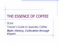 THE ESSENCE OF COFFEE PowerPoint PPT Presentation