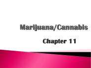 Marijuana/Cannabis