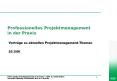 Professionelles Projektmanagement in der Praxis PowerPoint PPT Presentation