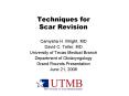 Techniques for Scar Revision PowerPoint PPT Presentation
