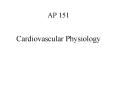 AP 151 Cardiovascular Physiology Structure of vessel walls PowerPoint PPT Presentation