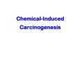 Chemical-Induced Carcinogenesis PowerPoint PPT Presentation