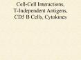 Cell-Cell Interactions, T-Independent Antigens, CD5 B Cells, Cytokines PowerPoint PPT Presentation