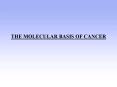 THE MOLECULAR BASIS OF CANCER PowerPoint PPT Presentation